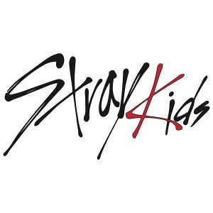 stray kids - 1